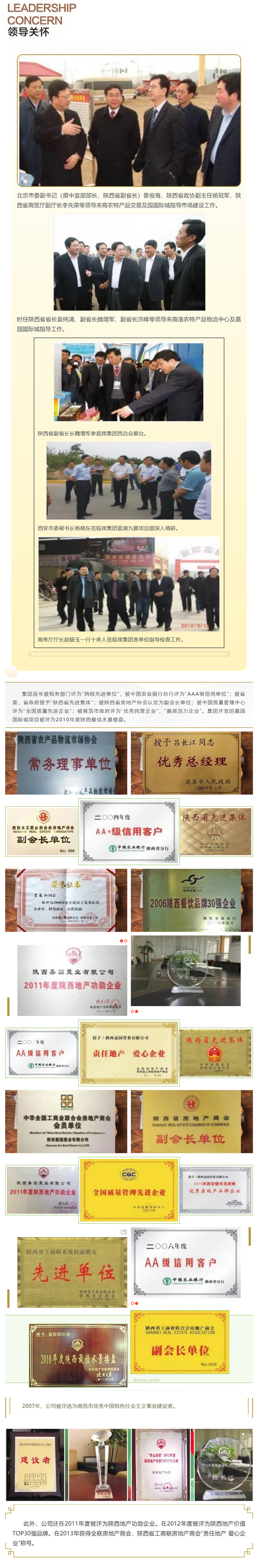 集团荣誉(图1)